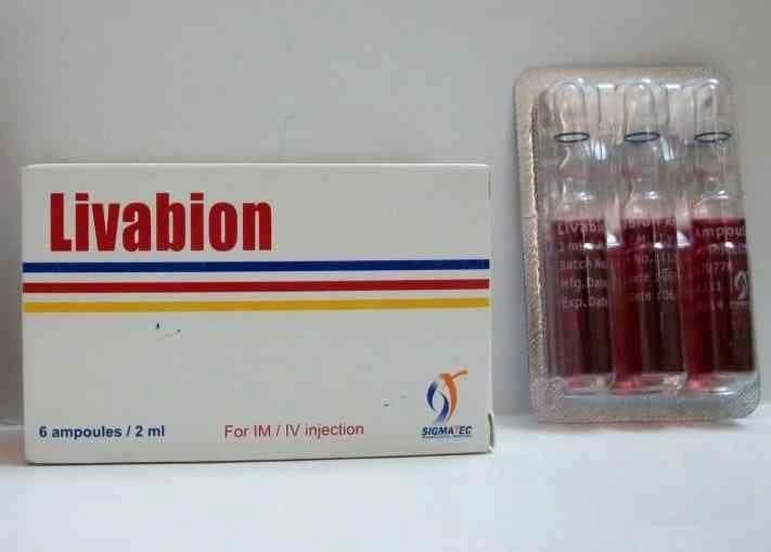 LIVABION 6 AMP