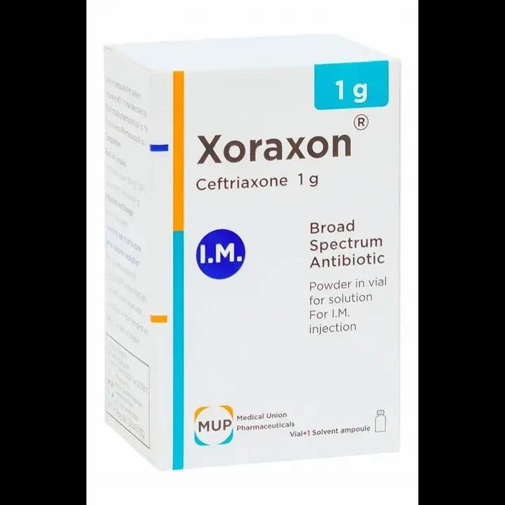 XORAXON 1G
